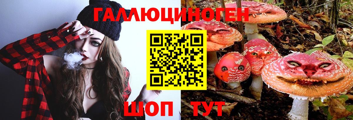 Галлюциногенные грибы Magic Shrooms  Галлюциногенные грибы Psilocybine cubensis  Вход с VPN  Гурьевск 