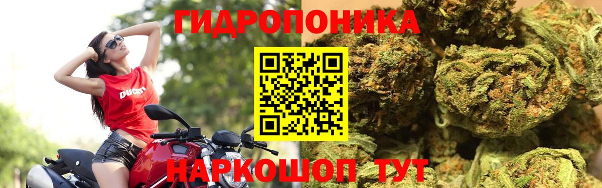 Гурьевск  Бошки марихуана THC 21%  Каннабис Bruce Banner  Вход с VPN  Шишки марихуана Amnesia 